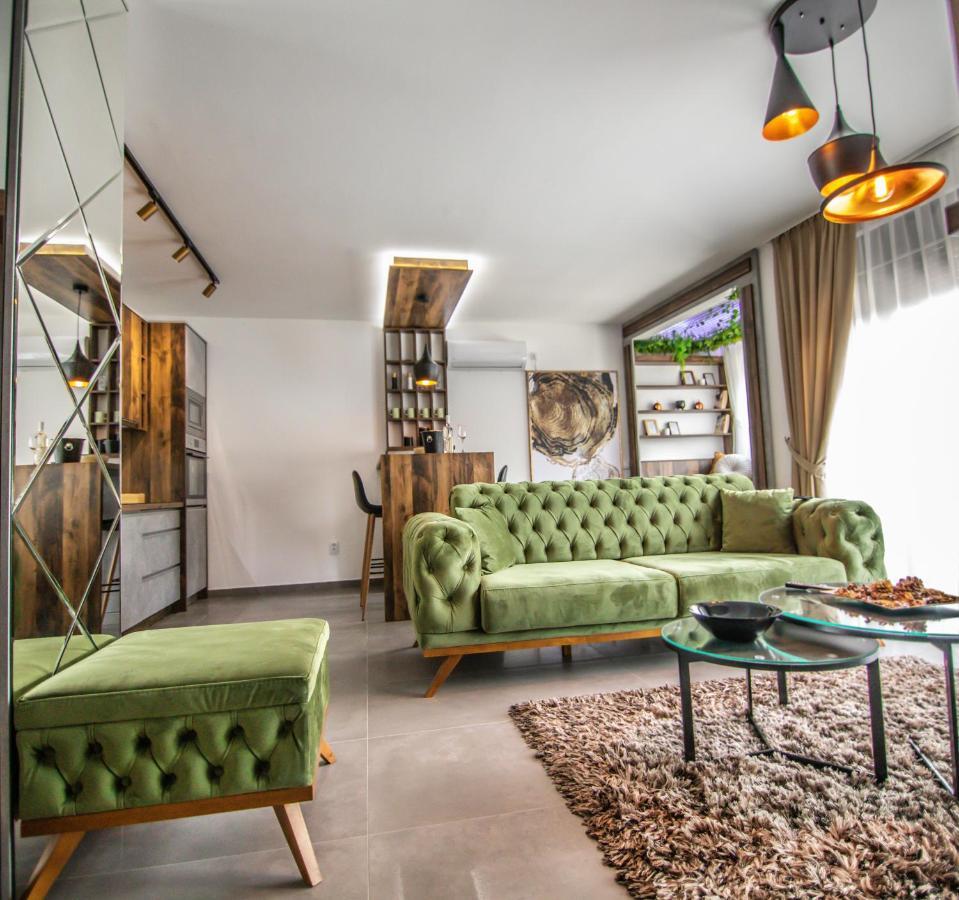 Royal Luxury Apartment Vrsac Extérieur photo