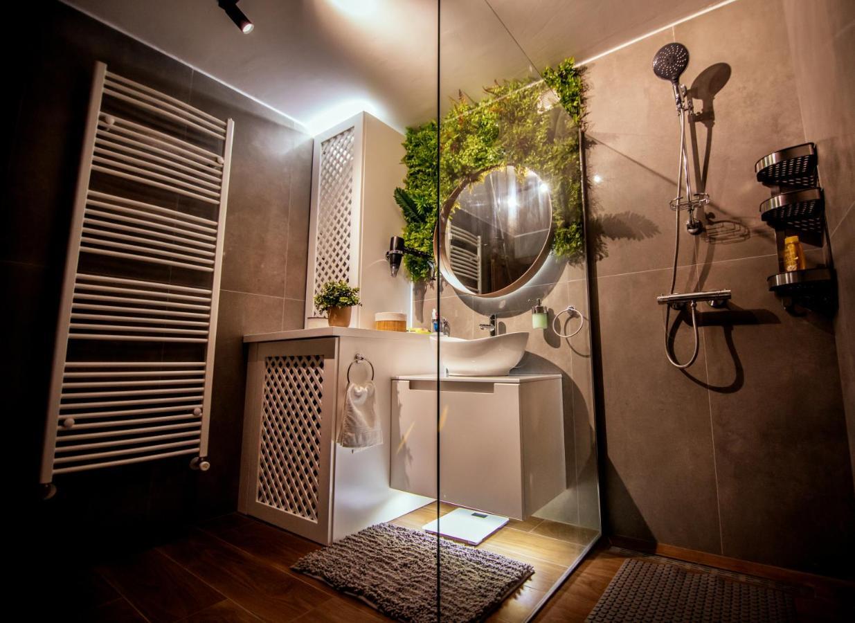 Royal Luxury Apartment Vrsac Extérieur photo